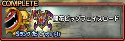 開花ビッグフェイスロード