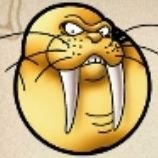 ドラクエタクトのっすぅあぁッ！タクター「ねこ」アイコン