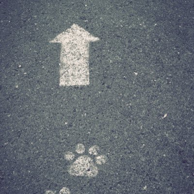 ドラクエタクトの性格「ふつう」タクター「よしぽん」アイコン